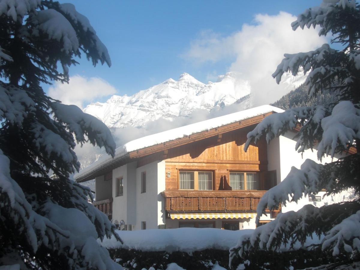 Pfeifer Apartament