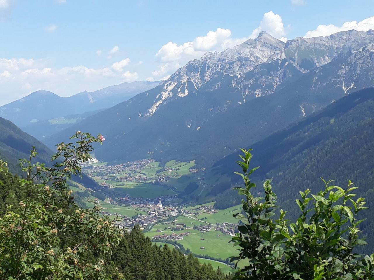 Pfeifer *